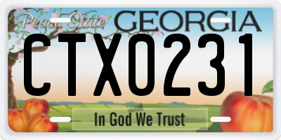 GA license plate CTX0231