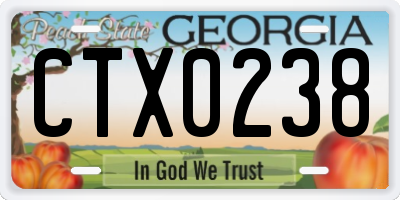 GA license plate CTX0238