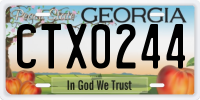 GA license plate CTX0244
