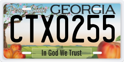 GA license plate CTX0255