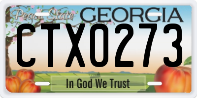 GA license plate CTX0273
