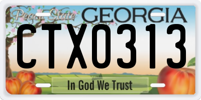 GA license plate CTX0313