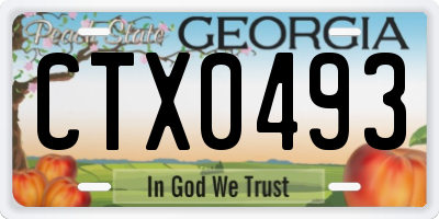GA license plate CTX0493