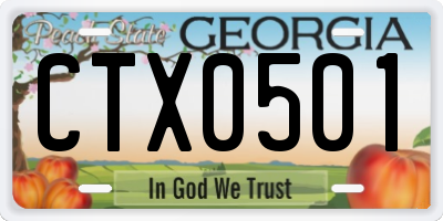 GA license plate CTX0501