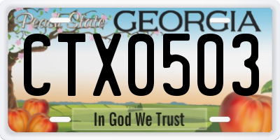 GA license plate CTX0503