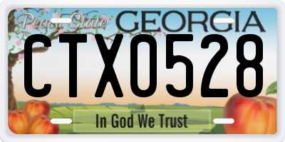 GA license plate CTX0528