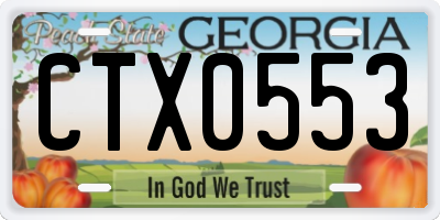 GA license plate CTX0553