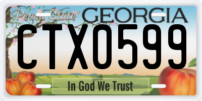 GA license plate CTX0599