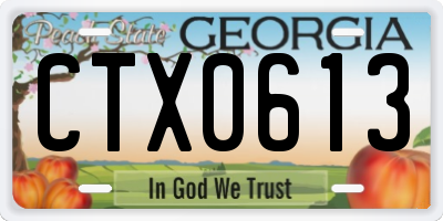 GA license plate CTX0613