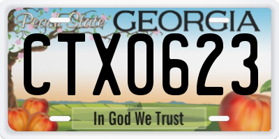 GA license plate CTX0623
