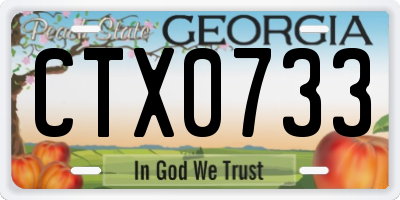 GA license plate CTX0733