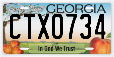 GA license plate CTX0734