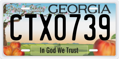GA license plate CTX0739