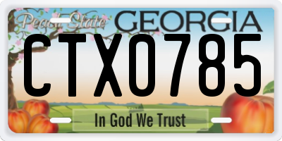 GA license plate CTX0785