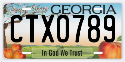 GA license plate CTX0789