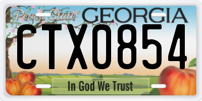 GA license plate CTX0854