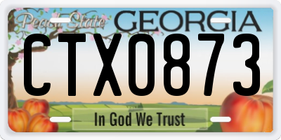 GA license plate CTX0873