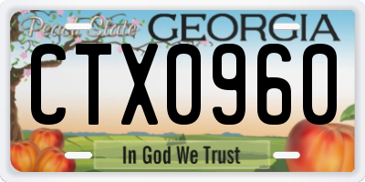 GA license plate CTX0960