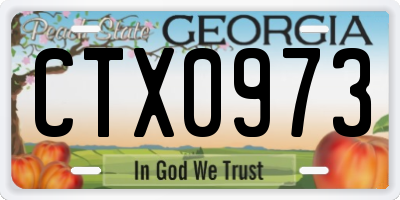 GA license plate CTX0973