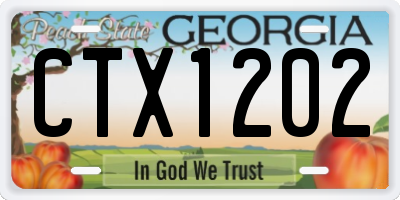 GA license plate CTX1202