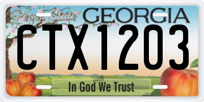 GA license plate CTX1203