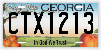 GA license plate CTX1213