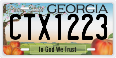 GA license plate CTX1223
