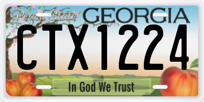 GA license plate CTX1224