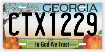 GA license plate CTX1229