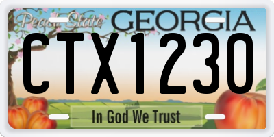 GA license plate CTX1230