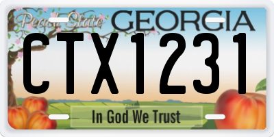 GA license plate CTX1231