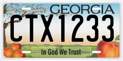 GA license plate CTX1233