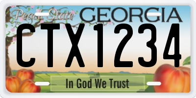 GA license plate CTX1234