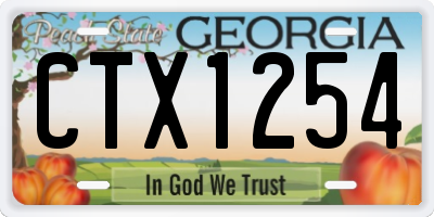 GA license plate CTX1254