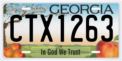 GA license plate CTX1263