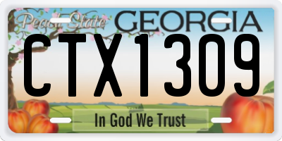 GA license plate CTX1309