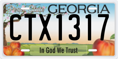 GA license plate CTX1317