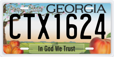 GA license plate CTX1624