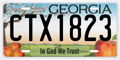 GA license plate CTX1823