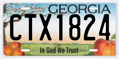 GA license plate CTX1824