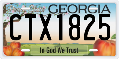 GA license plate CTX1825