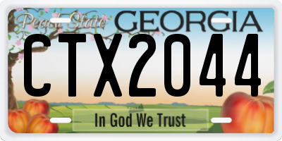 GA license plate CTX2044