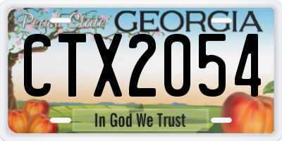 GA license plate CTX2054