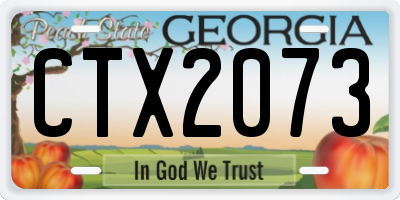 GA license plate CTX2073