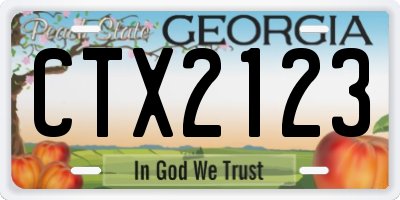 GA license plate CTX2123