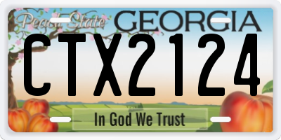 GA license plate CTX2124