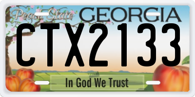 GA license plate CTX2133