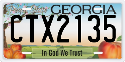 GA license plate CTX2135