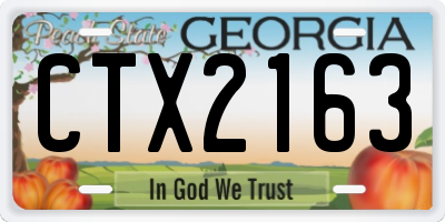 GA license plate CTX2163