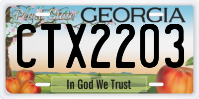 GA license plate CTX2203
